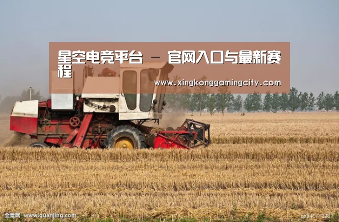 产品名称七(图1)