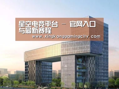 案例展示四