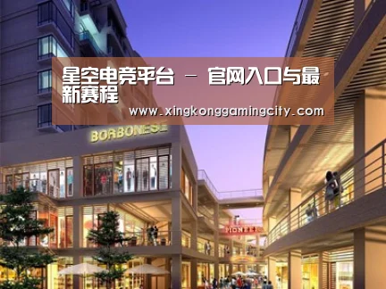 案例展示一