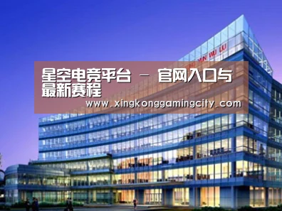 案例展示五