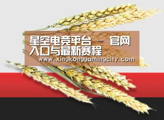 星空电竞平台 - 官网入口与最新赛程