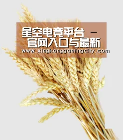 星空电竞平台 - 官网入口与最新赛程