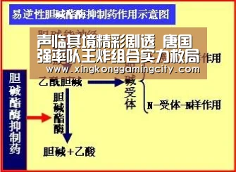 星空体育