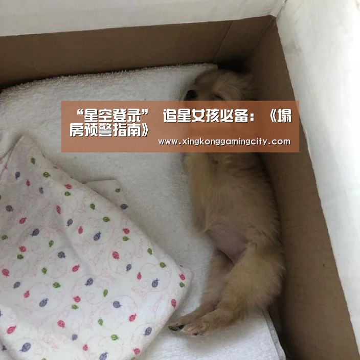 星空官网