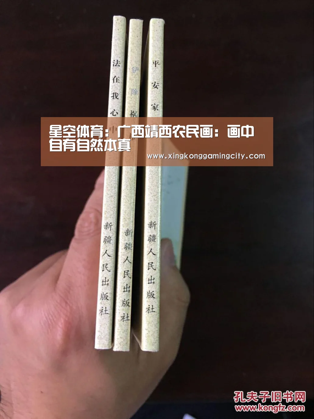 星空体育:广西靖西农民画:画中自有自然本真(图3) 星空体育