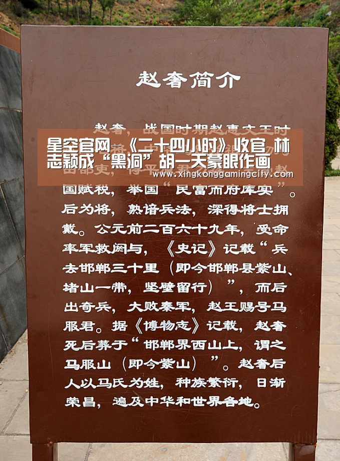 星空官网-《二十四小时》收官 林志颖成“黑洞”胡一天蒙眼作画(图1) 星空登录
