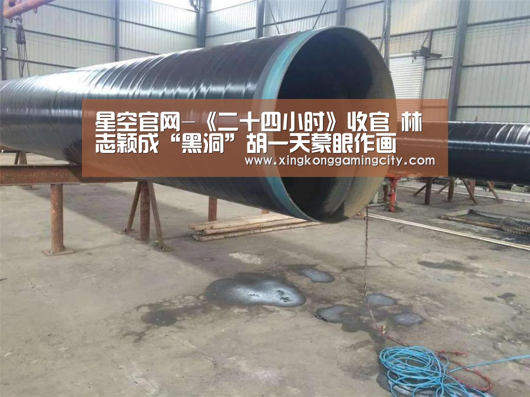 星空官网-《二十四小时》收官 林志颖成“黑洞”胡一天蒙眼作画(图2) 星空登录