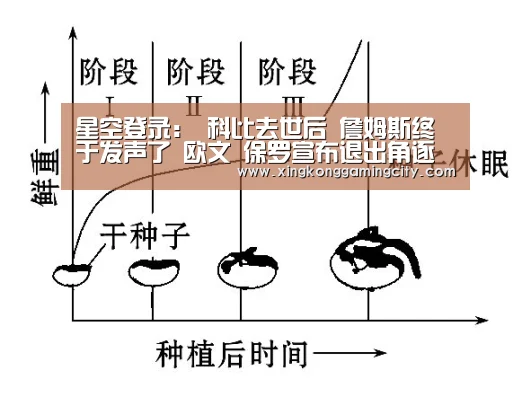 星空登录:
科比去世后 詹姆斯终于发声了 欧文 保罗宣布退出角逐(图1) 星空登录