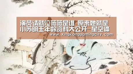 演员请就位薇薇是谁 原来她就是小苏明玉年龄资料大公开-星空体育(图1) 星空官网