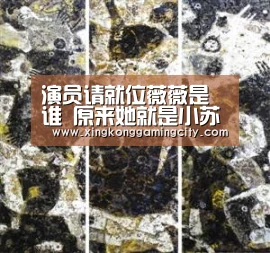 演员请就位薇薇是谁 原来她就是小苏明玉年龄资料大公开-星空体育(图2) 星空登录