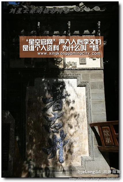 ‘星空官网’声入人心李文豹是谁个人资料 为什么叫“奶豹子”?(图1) 星空体育