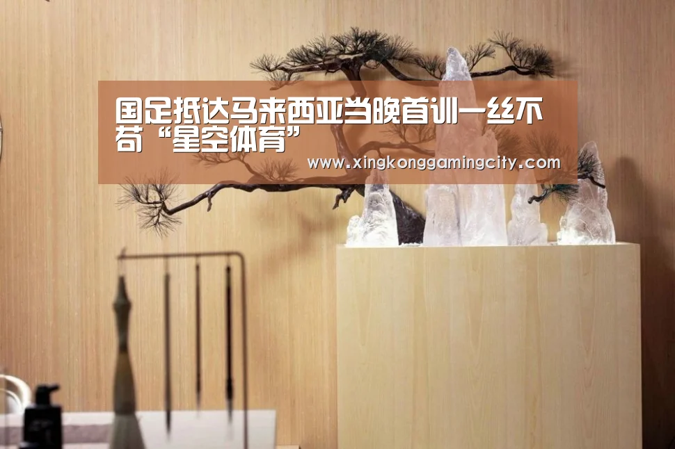 国足抵达马来西亚当晚首训一丝不苟“星空体育”(图3) 星空登录